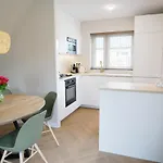 Donax Sint Maartensvlotbrug