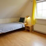 Donax Sint Maartensvlotbrug