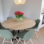 Donax * Sint Maartensvlotbrug