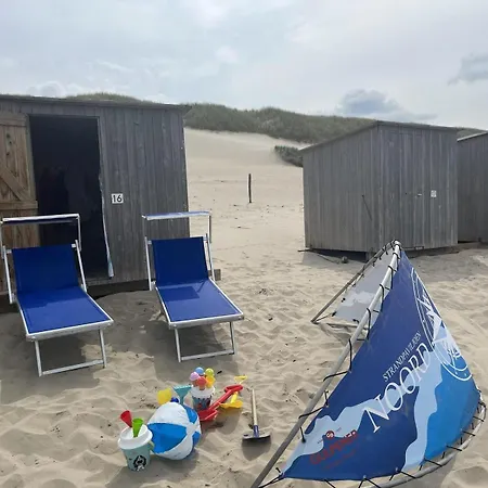 Donax Sint Maartensvlotbrug