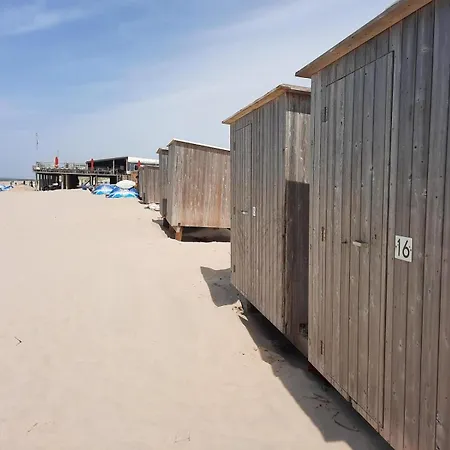 Donax * Sint Maartensvlotbrug