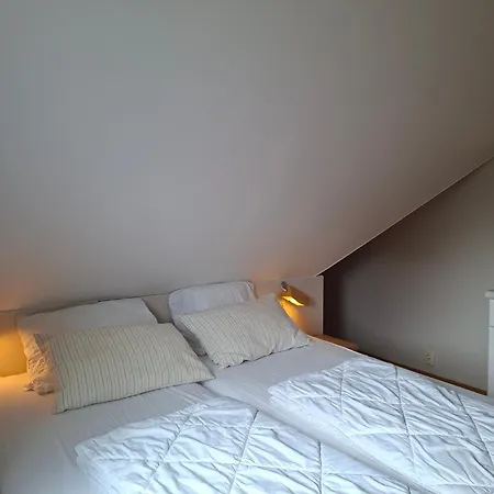 Donax * Sint Maartensvlotbrug