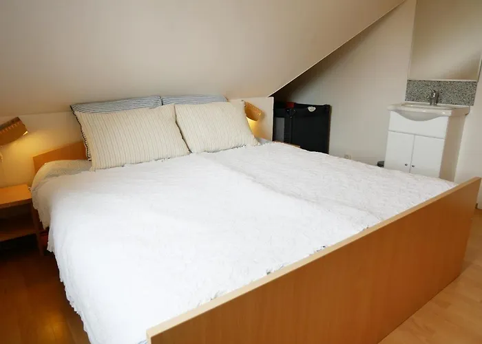 Donax Sint Maartensvlotbrug