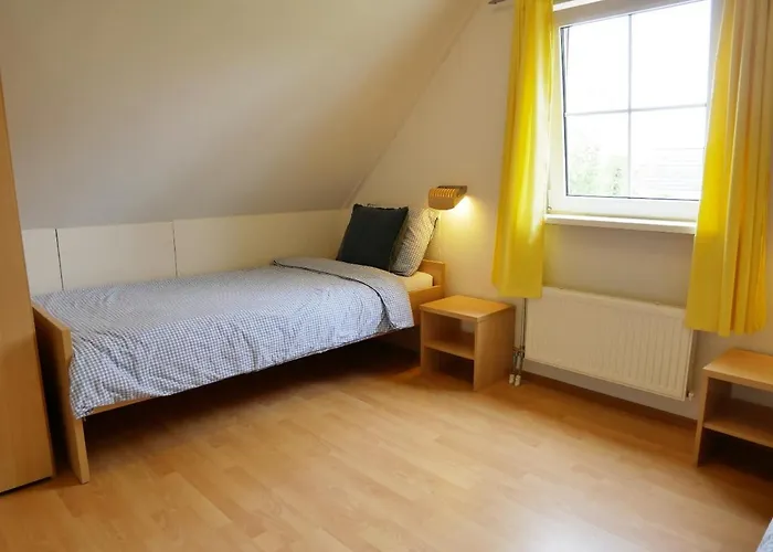 Donax Sint Maartensvlotbrug