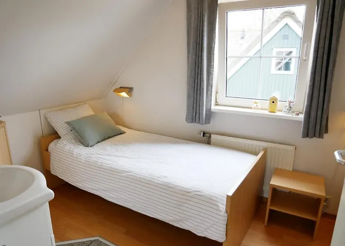 Donax * Sint Maartensvlotbrug