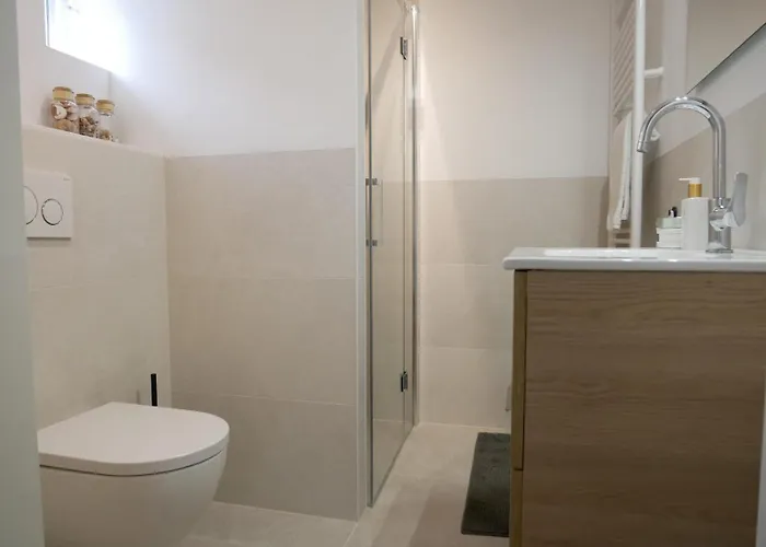 Donax Sint Maartensvlotbrug