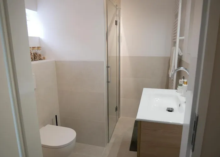 Donax * Sint Maartensvlotbrug