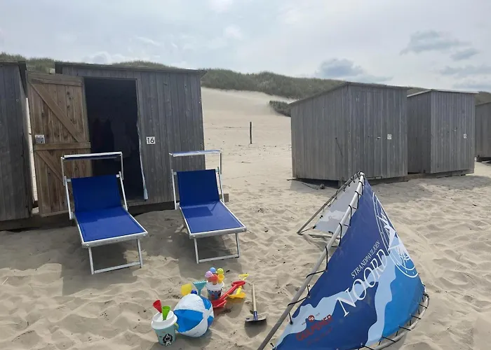 Donax Sint Maartensvlotbrug