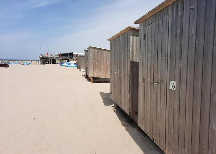 Donax * Sint Maartensvlotbrug